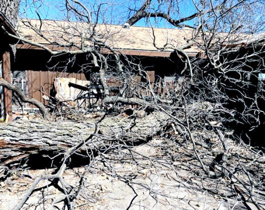WHAT A MESS THE STORM BLEW IN- Downed trees filled the yard of this home at Las Moras. The house escaped with minimal damage, but the carport was impaled. Courtesy photo.