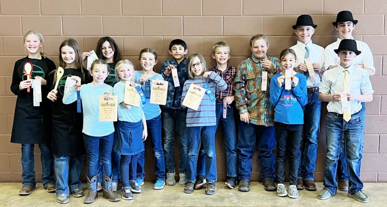 4H’ers take on the challenge of food