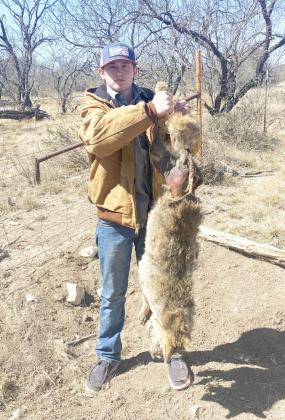 One more predator down
