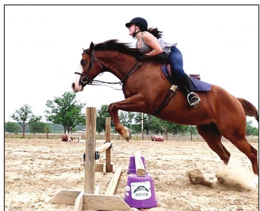 Menard County Horsewomen represent well at District Horse Show