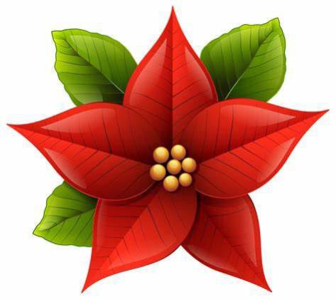 Don't miss a local tradition-The Poinsettia Dance, Dec. 14