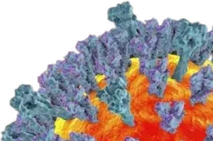 Measles in Texas: Frontera weighs in