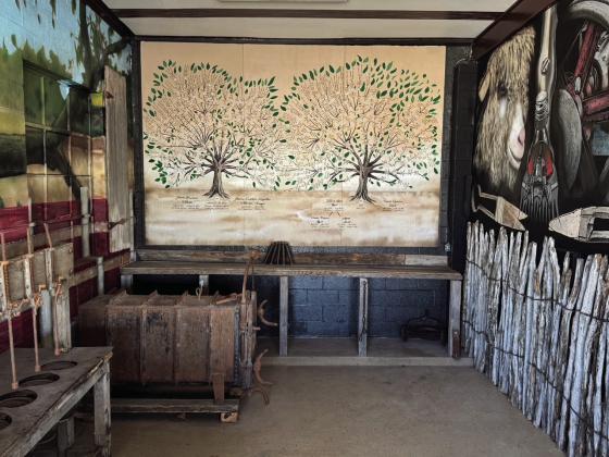 Family trees have been commisioned for the Black family and the Wilhelm family, both settled in Menard County in the laste 1800’s. The family trees are on display at The Menard Station. Bud Menchaca of Menchaca Arts in Mason designed and executed the intricate geneolgy mural. Nora Davis photo.