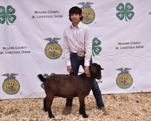 Mason Mireles with his 4th place Heavy Weight Breeding Goat.