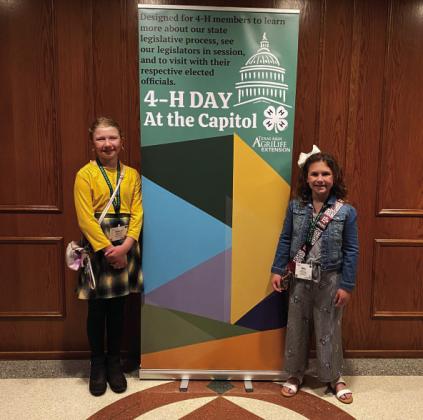 From the capitol to the catwalk, Menard 4-H members are making strides