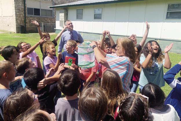 Elementary students release project butterfl ies