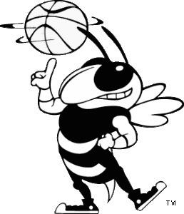 Yellowjacket Youth Basketball