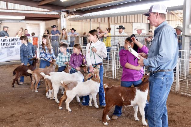 THE BARNS WERE ROCKIN' last weekend for the 2025 installment of the annual Menard County Youth &amp; Livestock Show and Sale. Pictured above (left to right) in a breeding goat class are exhibitors George Corbin, Kylie Smith, Jackson Smith, Sutton Smith, Natalie Compton, Hunter Mireles, and show superintendent Jason Bannowsky. We will publish full show results and photos in January. Madolyn Nasworthy, photo.