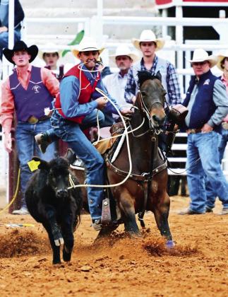 BUGGIN OUT- Chisum Allen battled through the tough loss of his college calf horse to come back with Bugs, pictured, to clinch his second CNFR qualification- and the first in tie-down. Jennings photo.