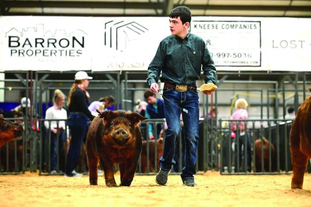 Cooper Lowrance takes the ring with his market hog in Kerrville at the Hill District Grandstand Livestock Show. Courtesy Photo.