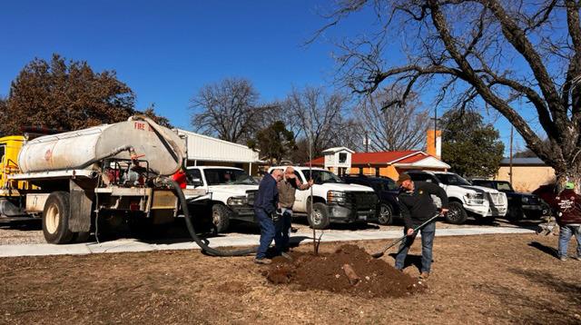 Luckenbach Memorial Tree Fund being utilized to plant trees at American Legion Park and Menard City Park