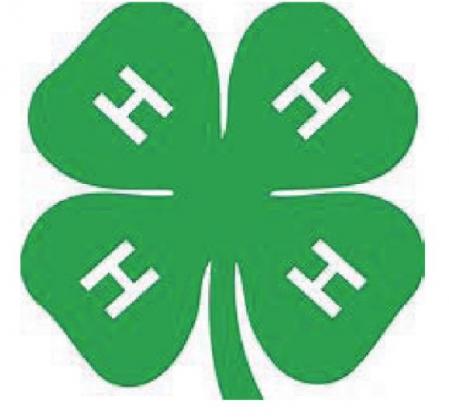 Menard Junior Livestock and Junior Youth Show 2021