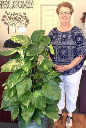 Loveta Pierce of Floyd Petitt Insurance recently celebrated 30 years in the insurance business. Floyd Petitt Menard office is located at 111 W San Saba Avenue. TMN photo.