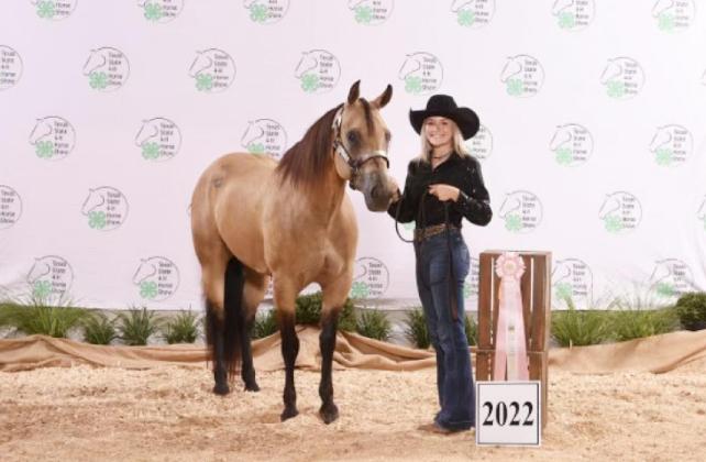 Mayfield and Mercedes place at State 4-H Horse Show
