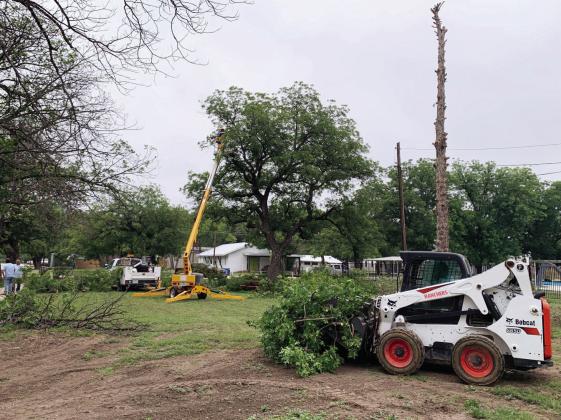 IMPROVEMENTS CONTINUE at county-owned American Legion Park. Both county and city crews and equipment worked to remove one unhealthy tree and trim others in preparation for installation of the Menard Youth Initiative funded playground area. The park improvements are part of an ongoing effort backed primarily by a LCRA grant. TMN photo.