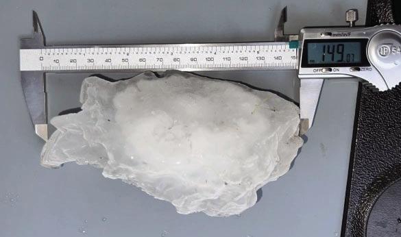 HOLY HAIL- An almost 6-inch diameter hailstone was collected by ICE CHIP volunteers about a mile west of Menard on Memorial Day. The mammoth ice chunk was just one factor in a series of destructive weather that came through the area Monday afternoon. The same storm provided several inches of much-needed precipitation. Photo courtesy Marshall, Illende, Moeller team.
