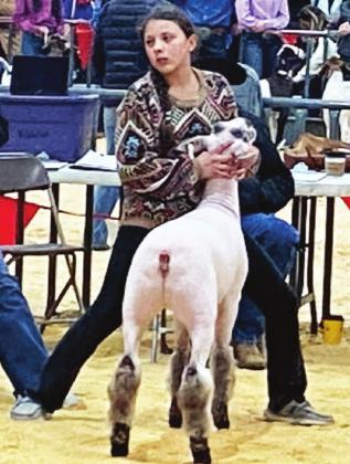 BELOW- Menard’s Perla Pecina shows her crossbred lamb at the San Angelo Livestock Show. Courtesy photo.