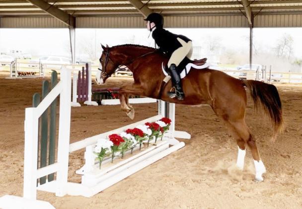 UP, UP AND AWAY- Menard’s Katelyn Maher and horse Rita glide over a jump during a show held in Manor, Texas in February. Katelyn has trained 4-year-old Rita in the English discipline, and looks forward to their next show together. Courtesy photo.