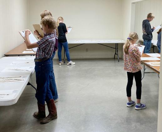 RIGHT- Menard Plant Identification contestants take their turn in examining flora specimen during the Kimble County competition. Pictures are Roy Mews, Mackenzie Wright, Caitlyn Burch, Saydee Meadow, Benjamin Burch. Courtesy photo.