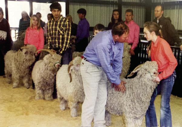 A MASTER AT WORK- Jason Bannowsky talks with a youth exhibitor as he evaluates his way down the line of Angora sheep in a class at the San Antonio Stock Show &amp; Rodeo in February. Sheep &amp; Goat Magazine, photo.