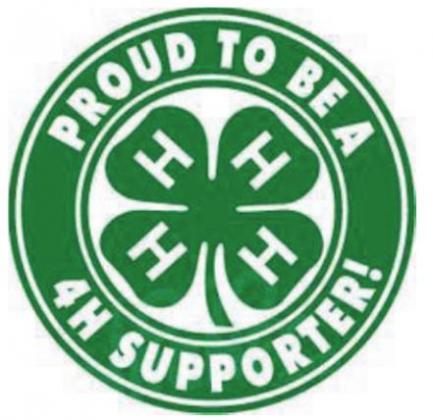 Menard 4-H to send 8 teams to district Food Challenge Contest
