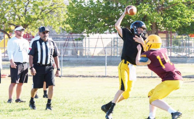 Jackets visit Hornets for first scrimmage