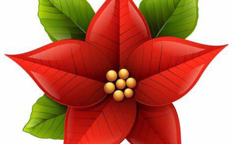 Don't miss a local tradition-The Poinsettia Dance, Dec. 14