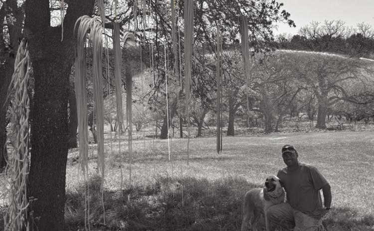 Reviving a crop that peaked in the 50s; Will Menard become the Spaghetti Capital of Texas?