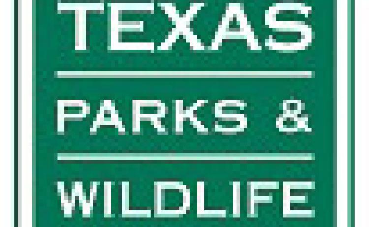 Seven heat safety tips to protect you from the Texas summer heat