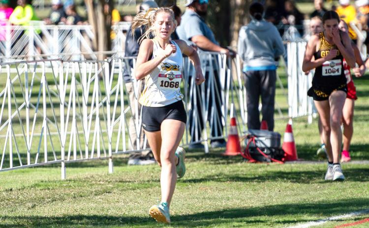 RIGHT- Taytum Chambless, guts out the end of the 2025 state championship cross country meet in Round Rock last week. Chambless finished 29 of the 145 runners. See full story on front page. Nora Davis, photo.