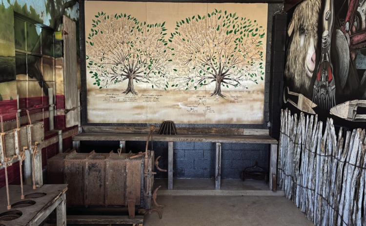 Family trees have been commisioned for the Black family and the Wilhelm family, both settled in Menard County in the laste 1800’s. The family trees are on display at The Menard Station. Bud Menchaca of Menchaca Arts in Mason designed and executed the intricate geneolgy mural. Nora Davis photo.