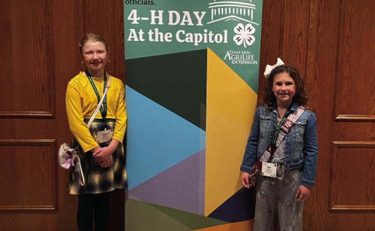 From the capitol to the catwalk, Menard 4-H members are making strides