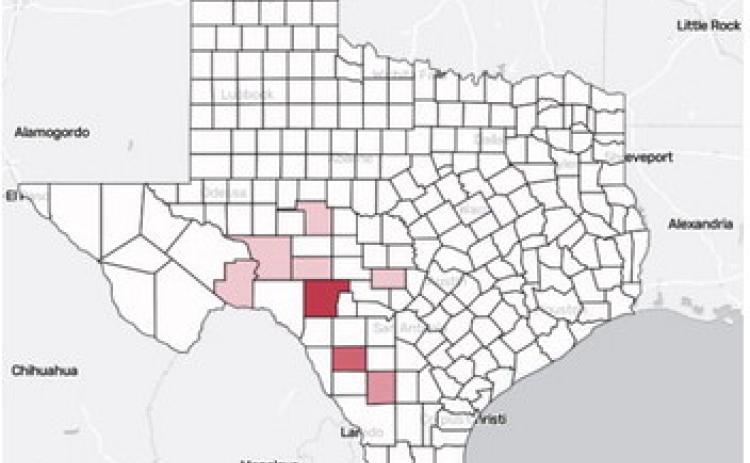 LEFT This Austin American Statesman graphic illustrates by shading the Texas counties currently reporting New World Screwworm infestations, as of press time on June 24, 2026. “Infestations” can be a misleading term- it simply means at least one active case has been identified within that county.