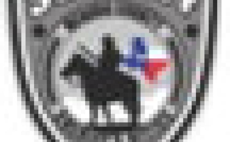 Alt Text for Image