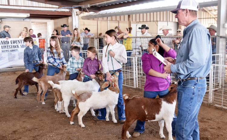 THE BARNS WERE ROCKIN' last weekend for the 2025 installment of the annual Menard County Youth &amp; Livestock Show and Sale. Pictured above (left to right) in a breeding goat class are exhibitors George Corbin, Kylie Smith, Jackson Smith, Sutton Smith, Natalie Compton, Hunter Mireles, and show superintendent Jason Bannowsky. We will publish full show results and photos in January. Madolyn Nasworthy, photo.