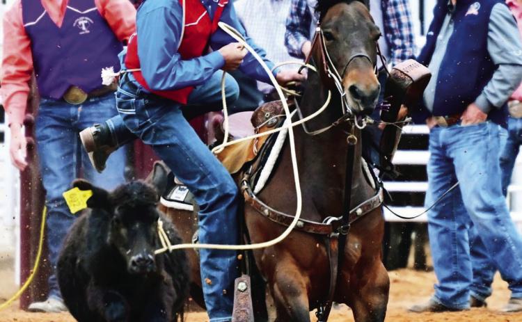 BUGGIN OUT- Chisum Allen battled through the tough loss of his college calf horse to come back with Bugs, pictured, to clinch his second CNFR qualification- and the first in tie-down. Jennings photo.