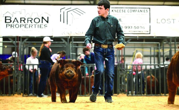 Cooper Lowrance takes the ring with his market hog in Kerrville at the Hill District Grandstand Livestock Show. Courtesy Photo.