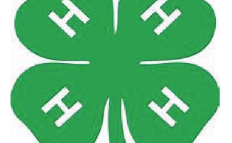 Menard Junior Livestock and Junior Youth Show 2021