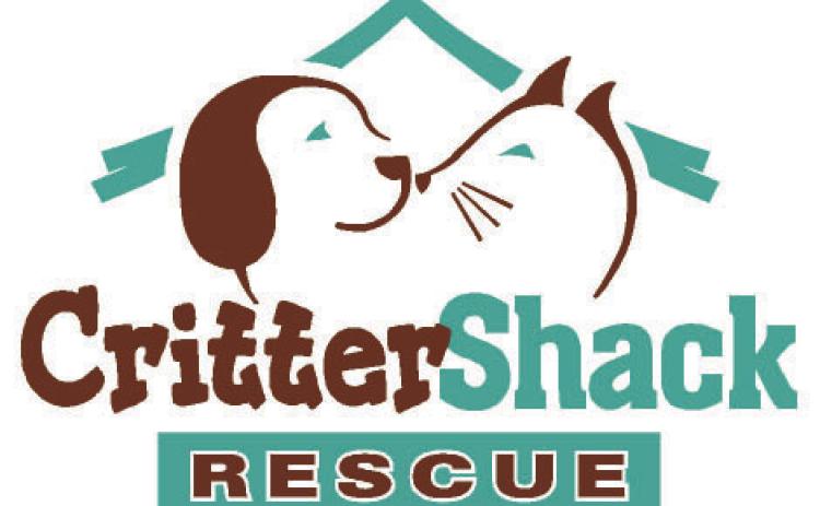CritterShack to hold Community Spay and Neutering Cat Clinic October 10-11, 2026
