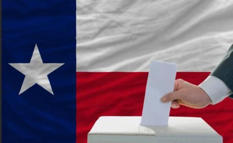 Roll, Mews and Hardin take local contested elections
