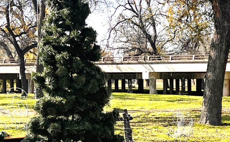 ABOVE- One of several Christmas trees at the low water crossing park sits among the other decor and lights. .