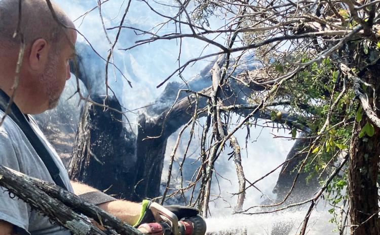 LEFT- Menard VFD's Jeff Whitson tends to a smoldering tree at a fire call near Hext last Friday. MVFD photo.