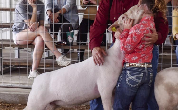 Menard County Livestock & Youth Sale sets another record