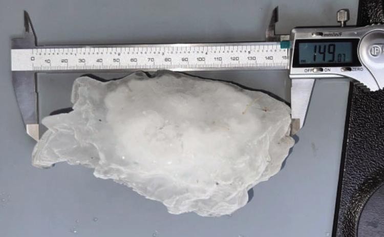 HOLY HAIL- An almost 6-inch diameter hailstone was collected by ICE CHIP volunteers about a mile west of Menard on Memorial Day. The mammoth ice chunk was just one factor in a series of destructive weather that came through the area Monday afternoon. The same storm provided several inches of much-needed precipitation. Photo courtesy Marshall, Illende, Moeller team.
