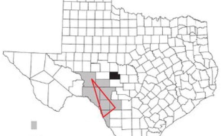 Zone where anthrax is most prevalent Menard County