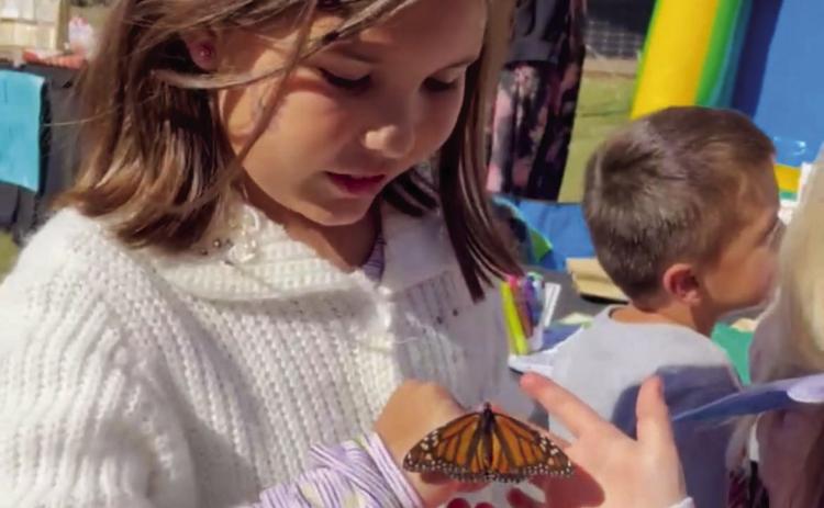 A young Monarch Festival attendee gets an up close look at a Monarch butterfly prior to its release to head south for the winter. Courtesy photo.