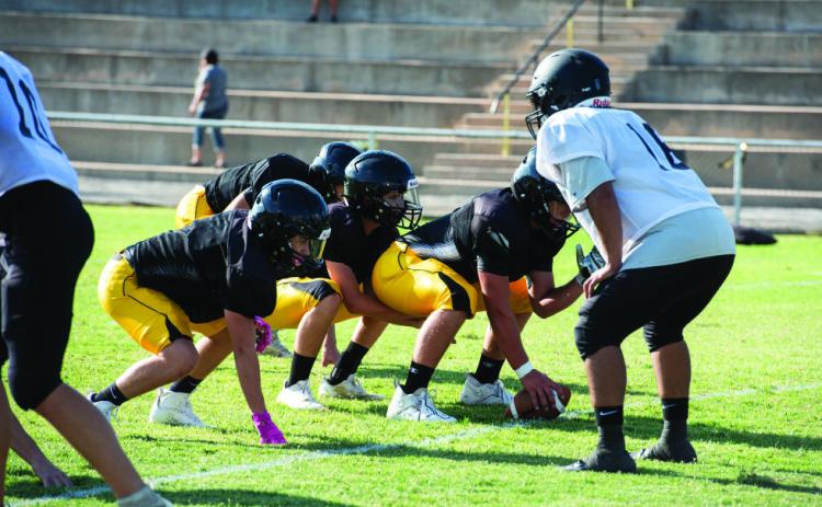 From the 8/10 scrimmage: