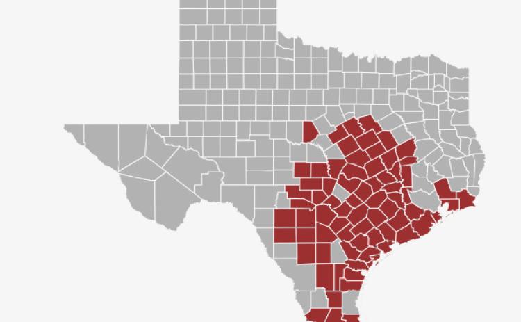Commissioner Sid Miller warns producers as Pasture Mealybug spreads across Texas