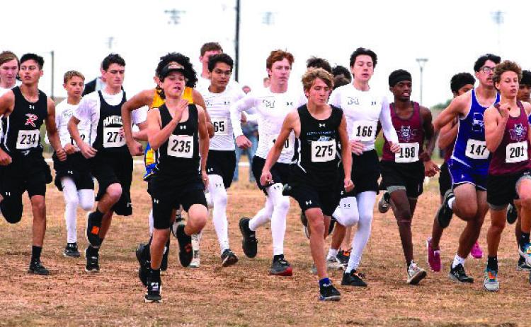Menard High School runners in the middle of the pack (long sleeves and leggings with black shorts) at the starting line for the Regional Cross Country Meet held in San Angelo on October 24. Photo by Nora Davis.