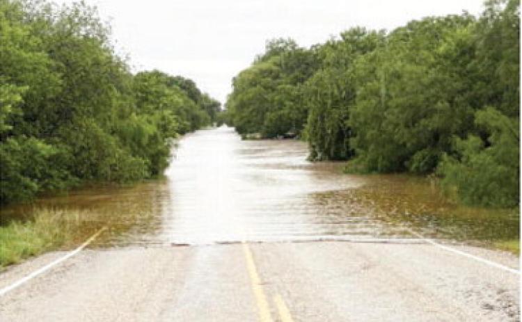 Looking west across the 5-Mile Crossing on FM 2092 E the morning of Friday, July 4. Riley Smith, photo.